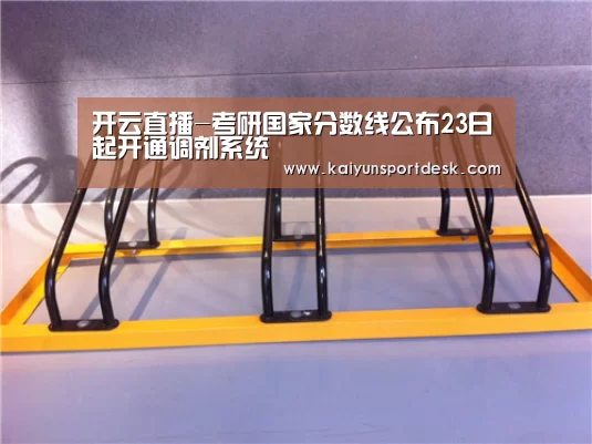 开云直播-考研国家分数线公布23日起开通调剂系统(图3) 开云直播