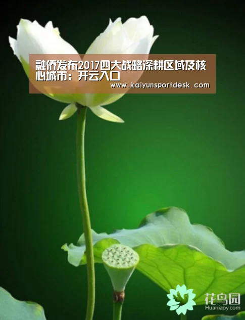 开云赛程